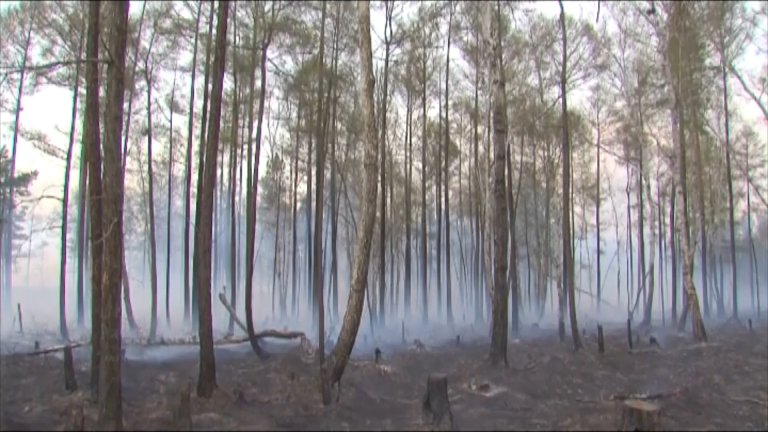 Вертолёт задействуют в Иркутской области для переброски десантников для тушения лесных пожаров